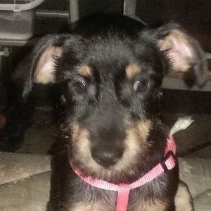 Meet your Posher, Debbie's